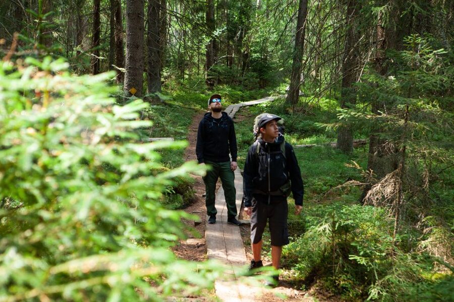 From Helsinki: Magical Taiga Hike in Liesjärvi National Park - Liesjärvi National Park: a taiga day that feels off-the-grid