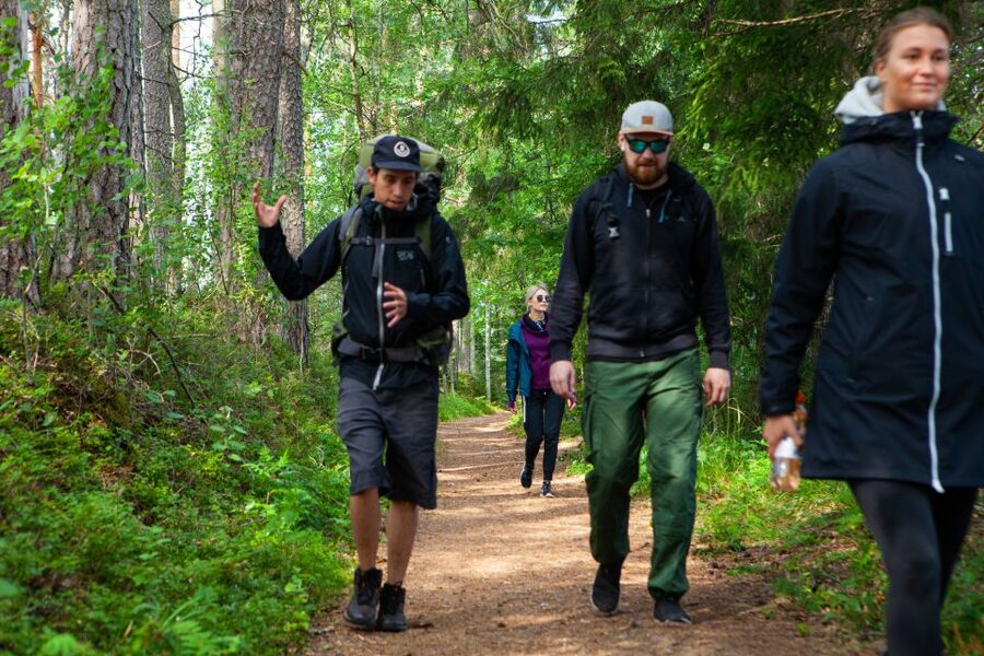 From Helsinki: Magical Taiga Hike in Liesjärvi National Park - Lunch by the lake: Finnish-style comfort in the middle of the wild