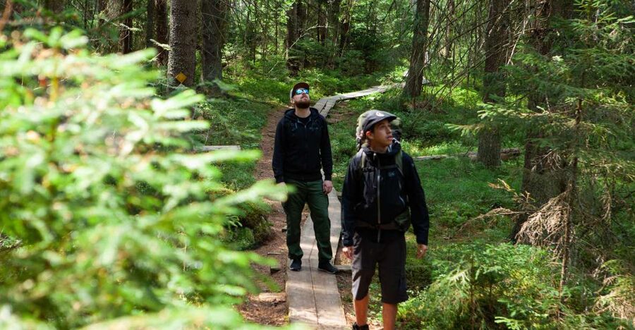 From Helsinki: Magical Taiga Hike in Liesjärvi National Park - The return hike: one more hour of taiga details