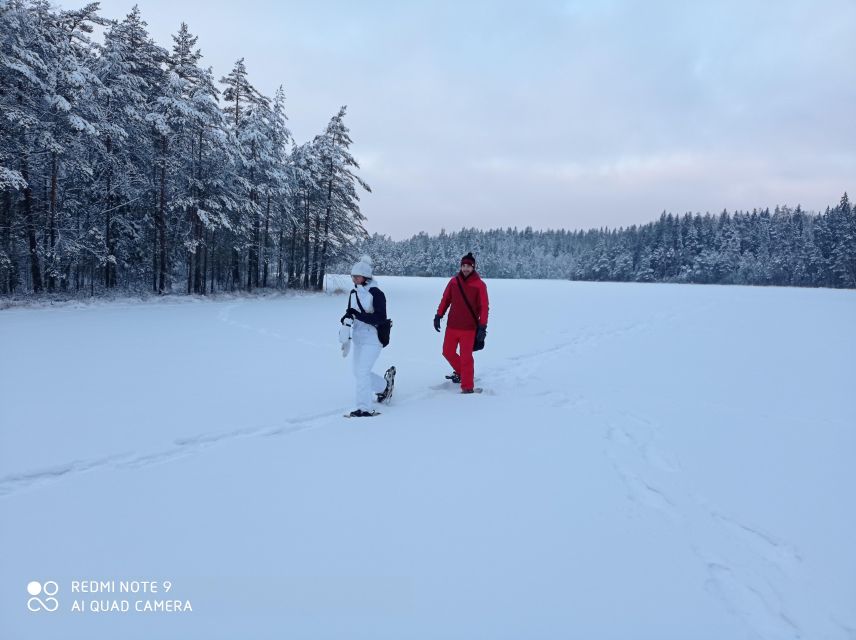 From Helsinki: Nuuksio National Park Hiking Tour with Food - Key highlights at a glance
