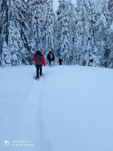 From Helsinki: Nuuksio National Park Hiking Tour with Food - Who this Nuuksio hiking-and-food tour suits best