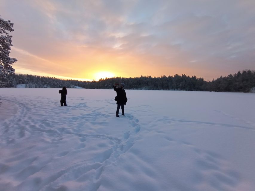 From Helsinki: Nuuksio National Park Hiking Tour with Food - Price and value: is $110 fair for what you get?