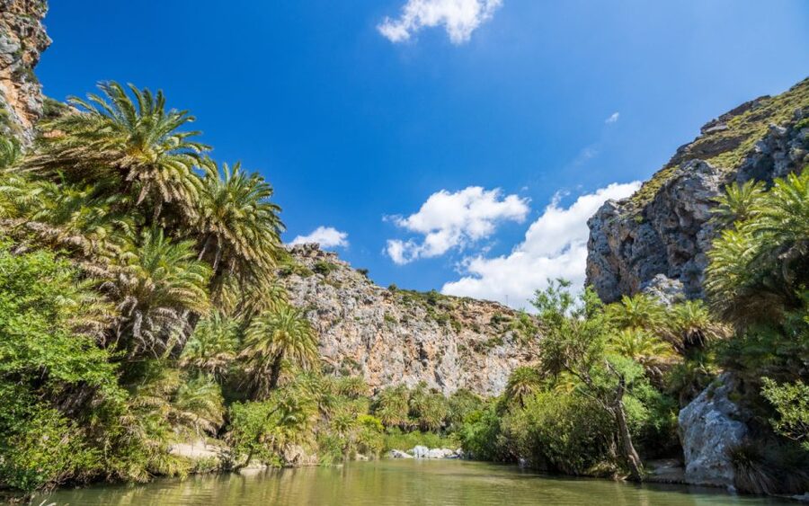 From Heraklion: Preveli Tropical Beach & Palm Forest Hike - Why Preveli’s palm forest is the one you remember