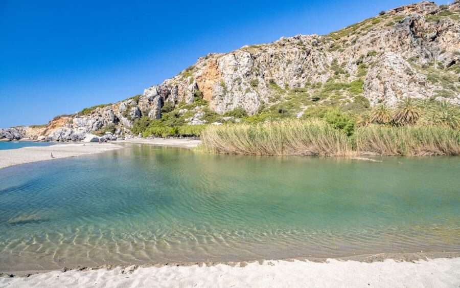 From Heraklion: Preveli Tropical Beach & Palm Forest Hike - Finding the quieter parts of the palm forest