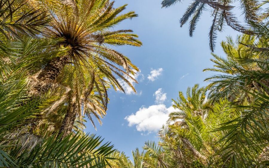 From Heraklion: Preveli Tropical Beach & Palm Forest Hike - What the morning brings: cliffs, views, and that first look at the coast