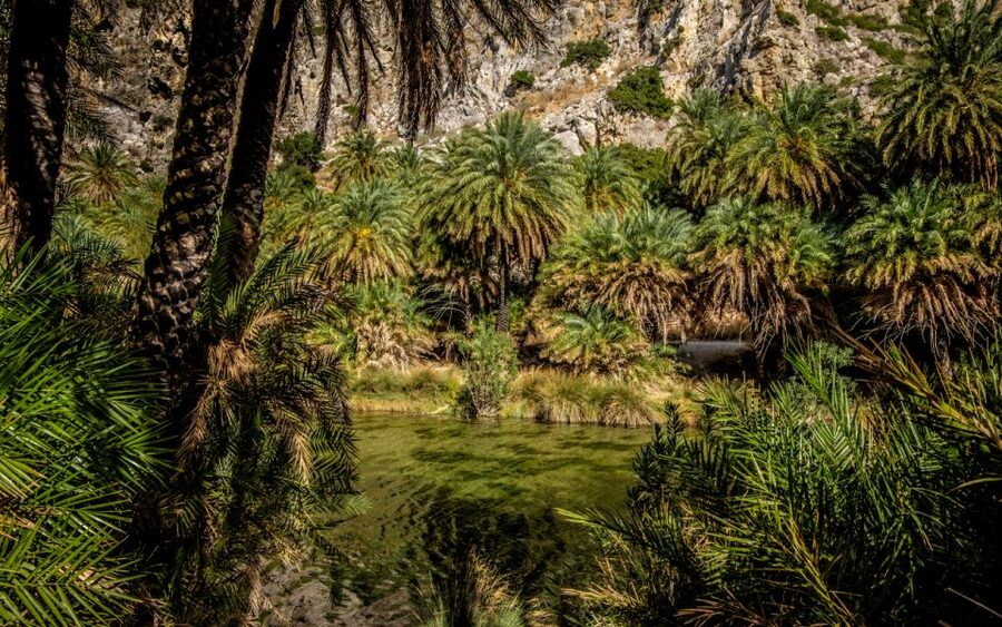 From Heraklion: Preveli Tropical Beach & Palm Forest Hike - The return: when your timing lines up with the last bus window