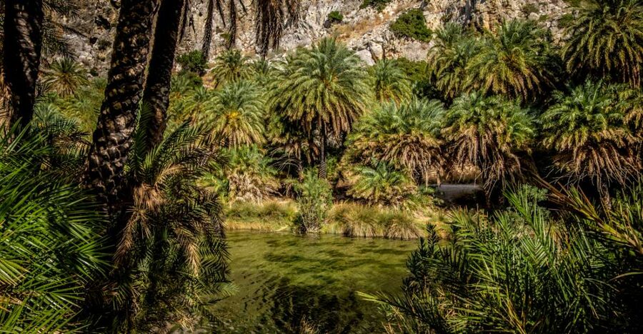 From Heraklion: Preveli Tropical Beach & Palm Forest Hike - Price and value: why $54 can make sense (and when it won’t)
