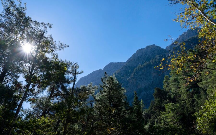 From Heraklion: Samaria Gorge Full-Day Guided Hiking Tour - Booking Considerations: Comfort, Navigation, and the Boat Ticket Reality