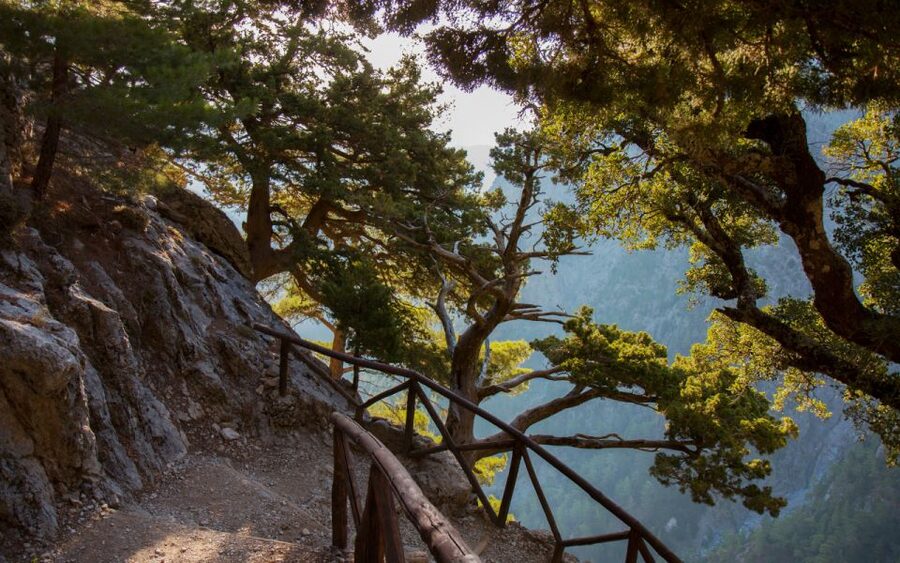 From Heraklion: Samaria Gorge Full-Day Guided Hiking Tour - Ferry to Chora Sfakion and the Evening Return Back to Heraklion