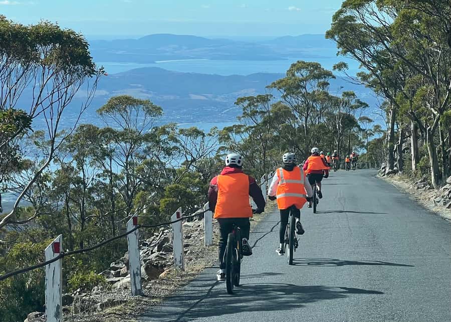 From Hobart: Mt Wellington Summit & Rainforest Bike Tour - Key points before you pedal