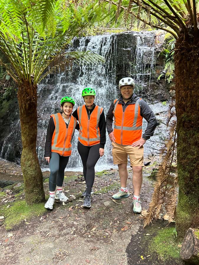 From Hobart: Mt Wellington Summit & Rainforest Bike Tour - Rainforest biking: ferns, streams, a waterfall, and historic aqueducts