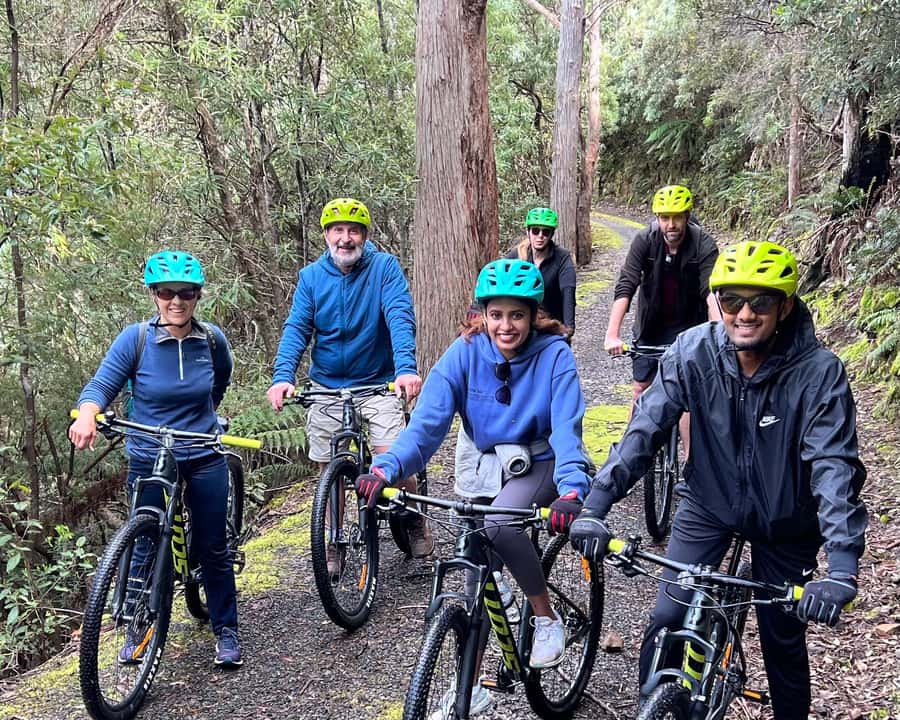 From Hobart: Mt Wellington Summit & Rainforest Bike Tour - Why the guides matter more than the bikes