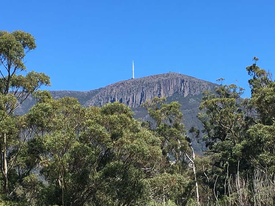 From Hobart: Mt Wellington Summit & Rainforest Bike Tour - Timing, stops, and where the tour fits in your Hobart day