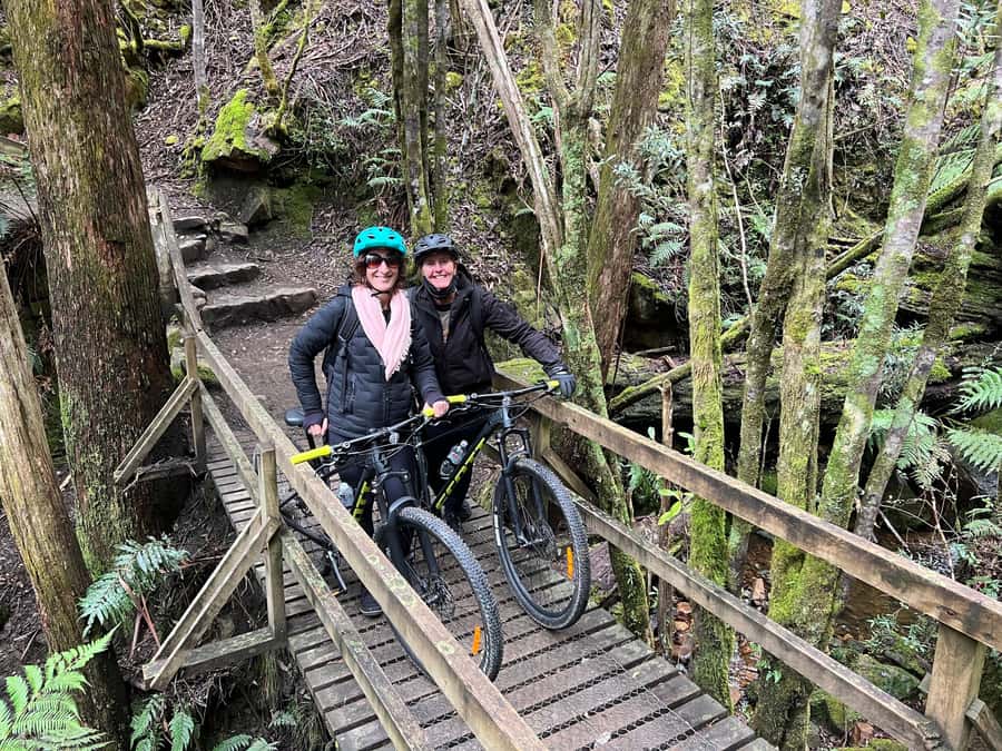 From Hobart: Mt Wellington Summit & Rainforest Bike Tour - Should you book the Mt Wellington Summit & Rainforest Bike Tour?