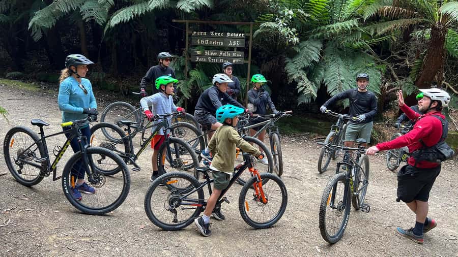 From Hobart: Mt Wellington Summit & Rainforest Bike Tour - FAQ