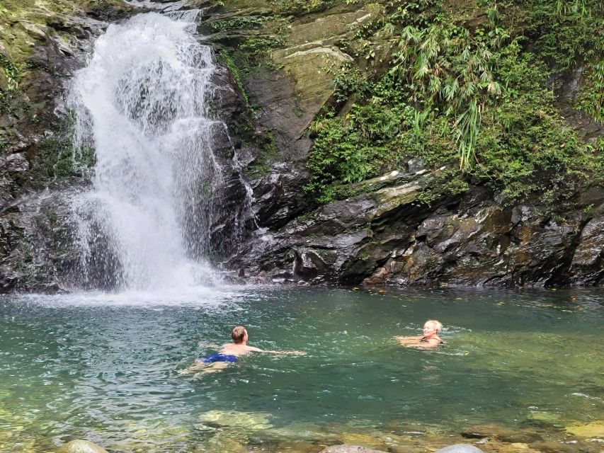 From Hue: Bach Ma National Park Hiking Day Trip with Pickup - Who Should Book Bach Ma, and Who Should Skip It