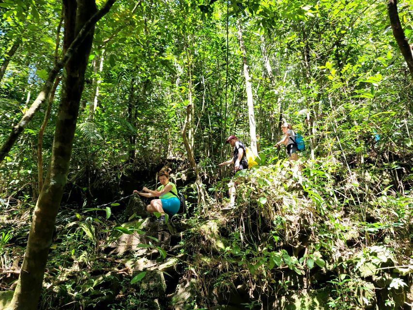 From Hue: Bach Ma National Park Hiking Day Trip with Pickup - Do Quyen Waterfall: The 300-Meter Drop and the Trail to Earn It