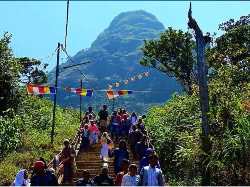 From Kandy: All Inclusive Adams Peak Epic Guided Hike - The 9:00 pm departure from Kandy (and Peradeniya): what matters