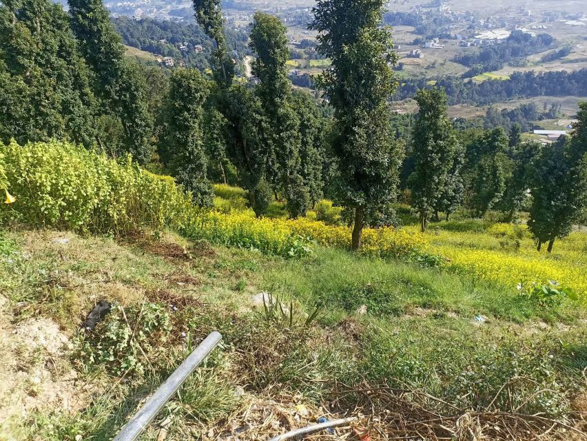 From Kathmandu: Everest View from Nagarkot & hike to Changu - Who Should Book This Hike, and Who Should Skip It