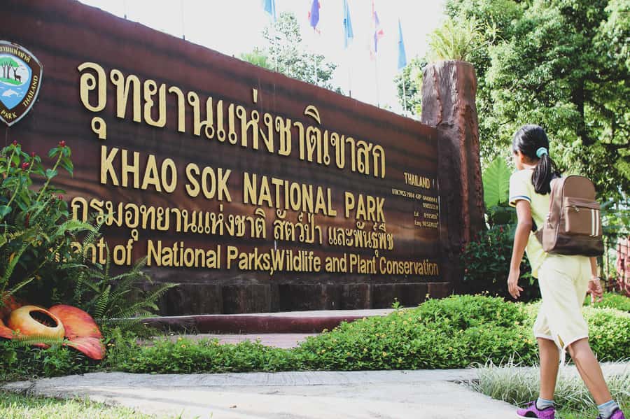 From Khao Lak: Khao Sok Jungle Hike & River Tour - Who should book this Khao Sok jungle hike and river combo?