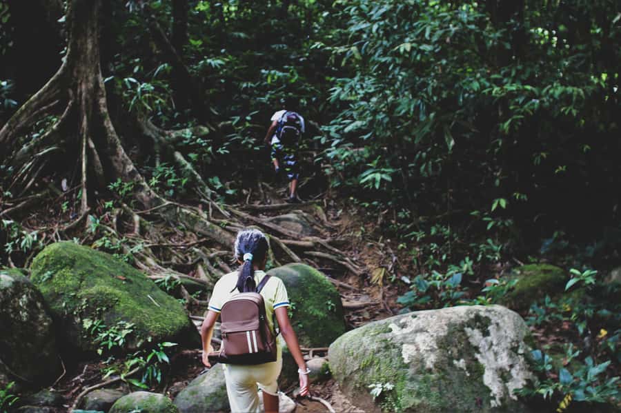 From Khao Lak: Khao Sok Jungle Hike & River Tour - The cool-down stream stop: where the jungle gets tolerable
