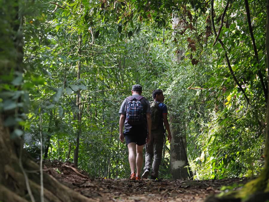 From Khao Lak: Khao Sok Jungle Hike & River Tour - What to pack: the basics that keep you comfortable