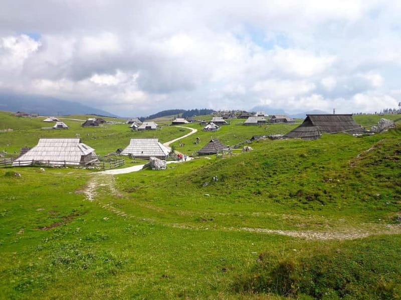 From Ljubljana: Velika Planina Guided Hike - Velika Planina: Shepherd Huts, Summer Cows, and That Hobbit-Village Mood