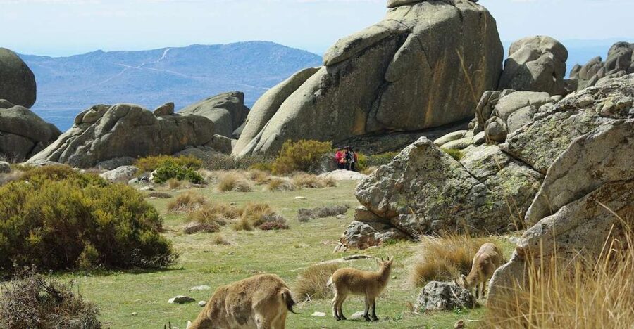 From Madrid: Sierra de Guadarrama Hiking Day Trip - Key Things You’ll Notice on This Trip