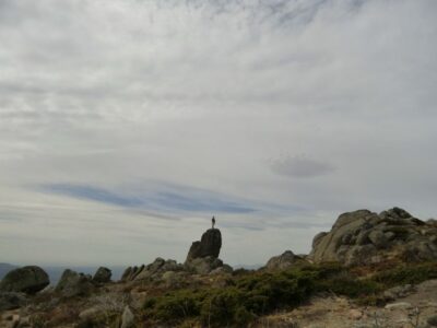 From Madrid: Sierra de Guadarrama Hiking Day Trip - Pickup in Sol and the 45-Minute SUV Ride Into the Mountains
