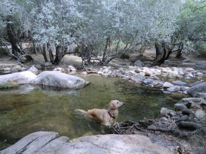 From Madrid: Sierra de Guadarrama Hiking Day Trip - Who This Hiking Day Trip Suits Best (and Who Should Rethink It)