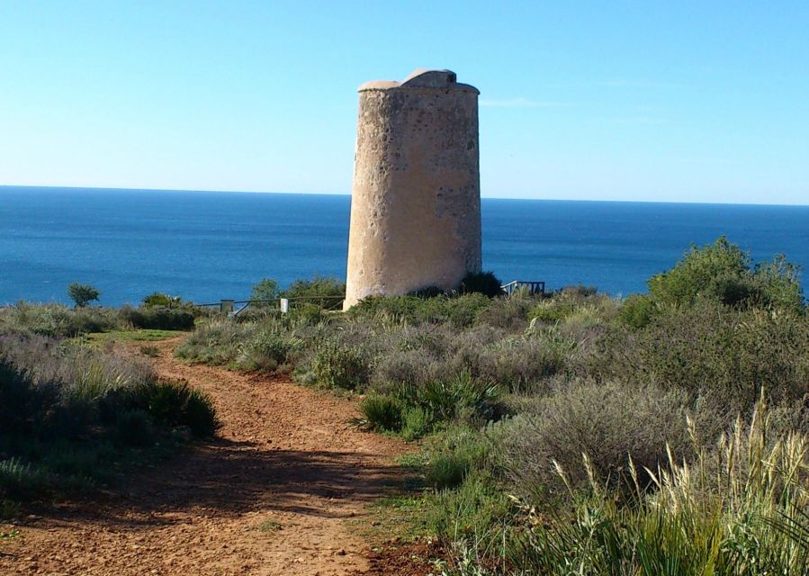From Malaga: Cliffs of Maro Hike w/ Beach Visit & Snorkeling - Cliffs of Maro: Why This Malaga Hike + Beach Combo Works