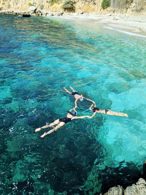 From Malaga: Cliffs of Maro Hike w/ Beach Visit & Snorkeling - Tropical Crops and the Botany Lesson You Didn’t Know You Needed