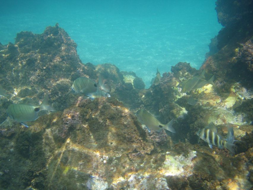 From Malaga: Cliffs of Maro Hike w/ Beach Visit & Snorkeling - Reaching the Secluded Beach: White Sand, Snacks, and Cooling Off
