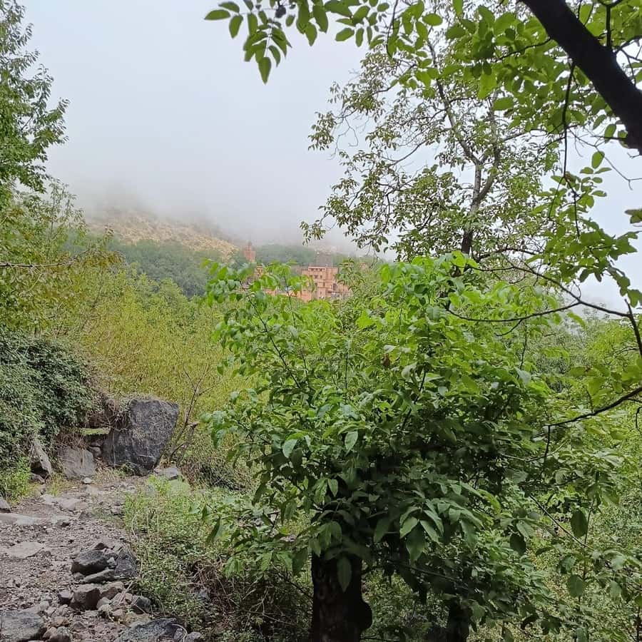 From Marrakech: Atlas Mountains Summit Trek - Who should book this Atlas summit trek (and who should skip it)