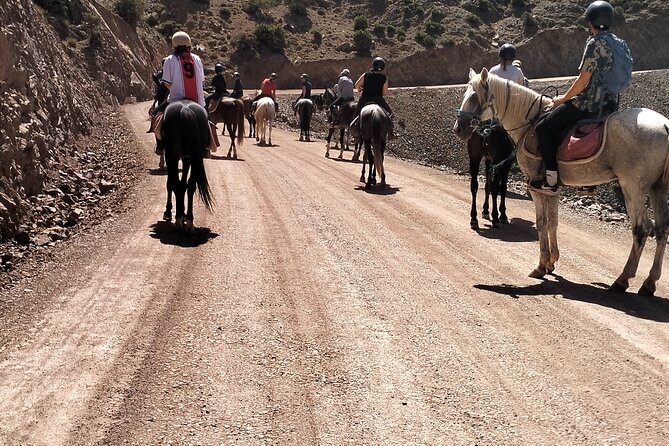 From Marrakech Day Hike to Tizi Mazaik Mountain 2400m - Getting to Imlil: 8:30 AM Pickup and the Argan Breakfast Stop