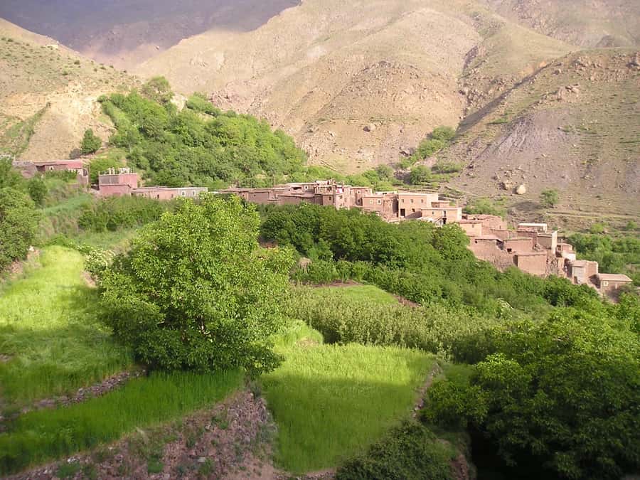 From Marrakech: Ourika Valley Trip, Waterfall Hike & Lunch - Time, pace, and real value of the $46 price