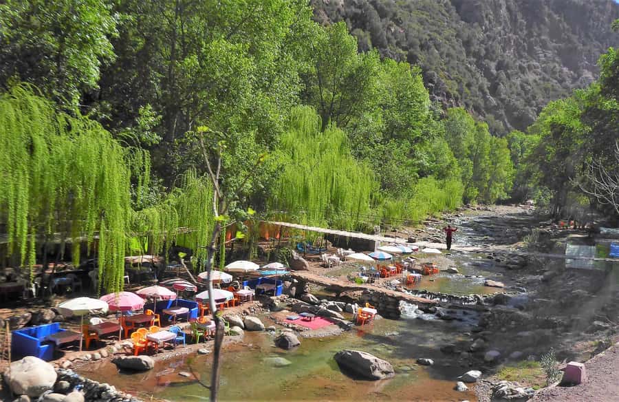 From Marrakech: Ourika Valley Trip, Waterfall Hike & Lunch - Who this trip suits (and who should skip it)