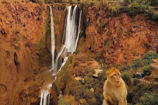 From Marrakech: Ouzoud Waterfalls Guided Hike and Boat Trip - The orange juice viewpoint: the smart pause before the main descent