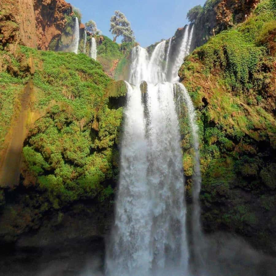 From Marrakech: Ouzoud Waterfalls Guided hike & boat Ride - The Argan Oil Co-operative Stop: Berber Culture You Can Actually See