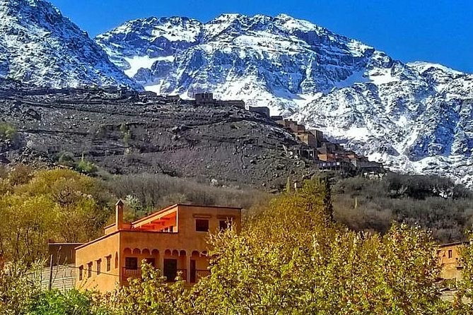 From Marrakesh: Zip-Line & Hike in the Atlas Mountains - Tahnaout Stop: Break Time, Tea, and a Local Feel
