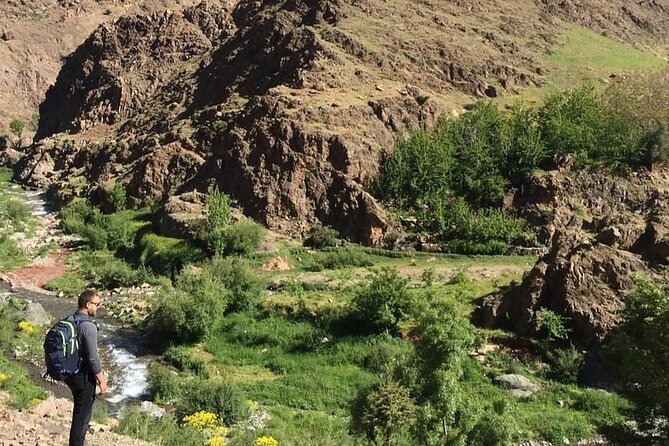 From Marrakesh: Zip-Line & Hike in the Atlas Mountains - Argan Oil and Bread-and-Oil Tasting: Small Lesson, Big Payoff