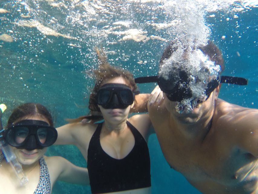 From Marseille: Calanques National Park Guided Hike - Key highlights you’ll actually care about