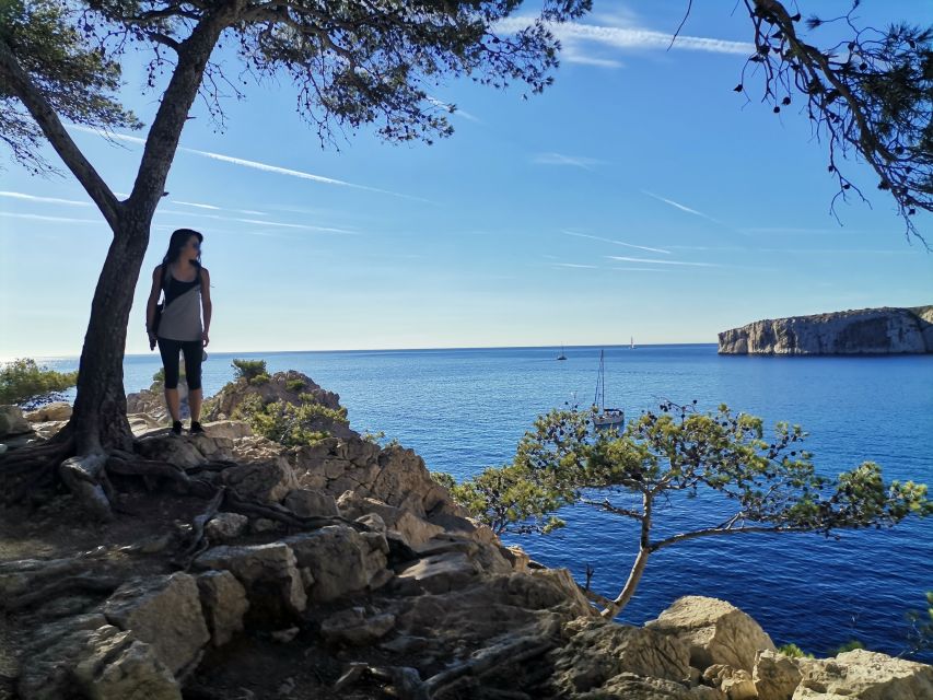 From Marseille: Calanques National Park Guided Hike - Walking the Calanques: pine woods, rosemary, and dramatic sea cliffs