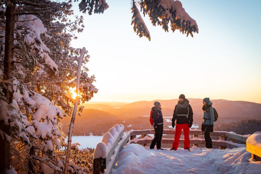 From Montreal: Mont-Tremblant National Park Hiking Day Trip - Morning hiking in the park: choose a trail and settle into your pace