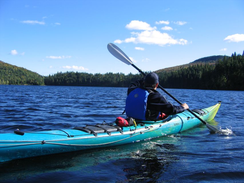 From Montreal: Mont-Tremblant National Park Hiking Day Trip - Afternoon options: Mont-des-Cascades, L’envol, and Le Geai Bleu