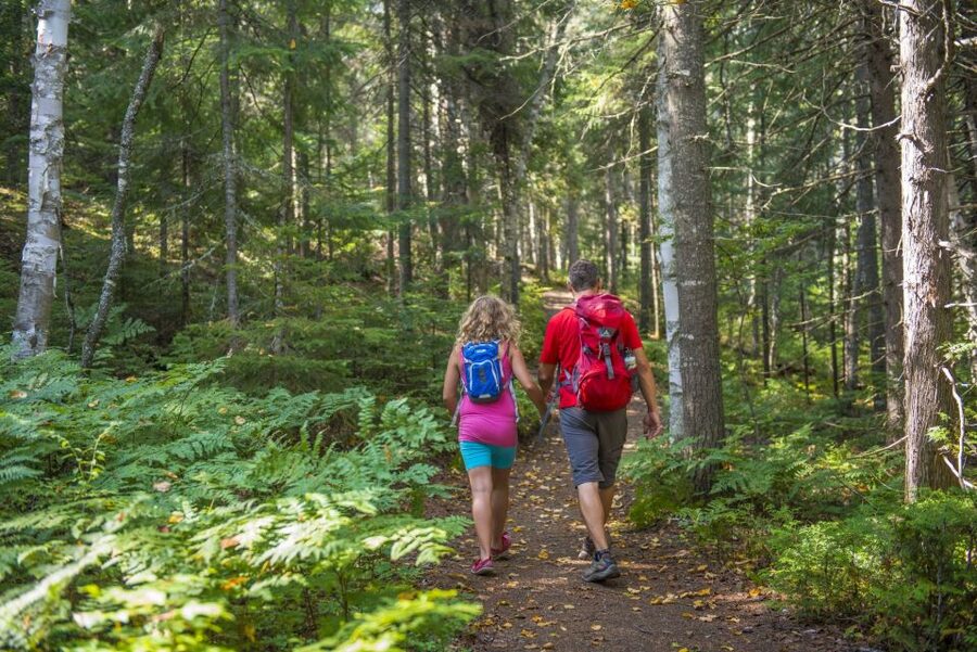 From Montreal: Mont-Tremblant National Park Hiking Day Trip - Getting the most from the $72 price: what you pay for, and why it’s fair