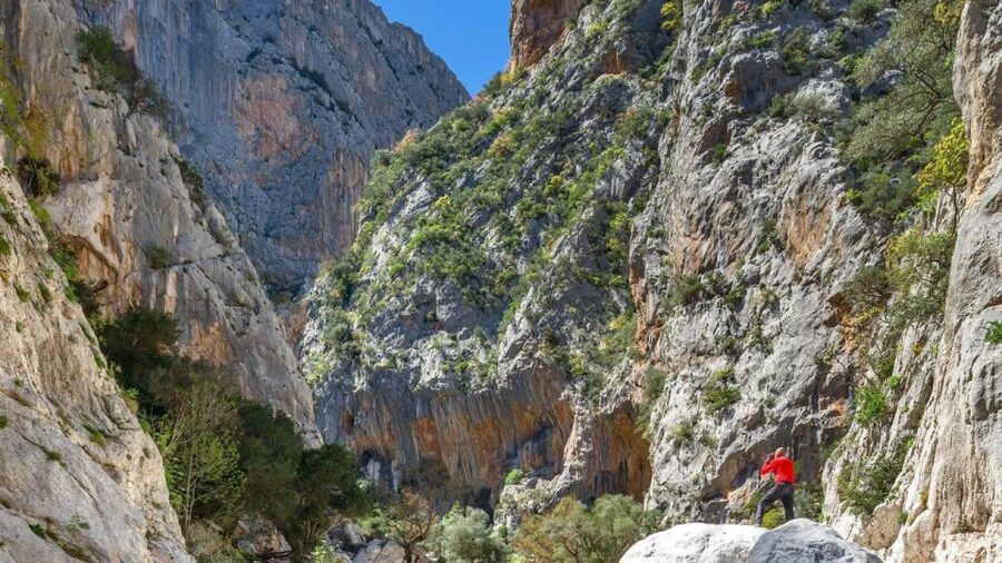 From Orosei or Dorgali: Gorropu Canyon Guided Hike - Key things that make this hike worth it