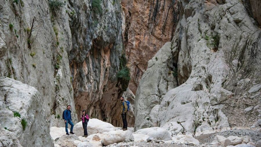 From Orosei or Dorgali: Gorropu Canyon Guided Hike - The moment you step into Gorropu Gorge: walls, water, and first photos