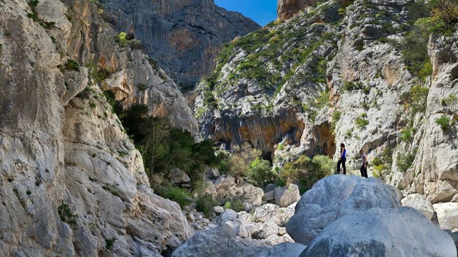 From Orosei or Dorgali: Gorropu Canyon Guided Hike - The canyon walk itself: boulders, tricky steps, and the lunch break