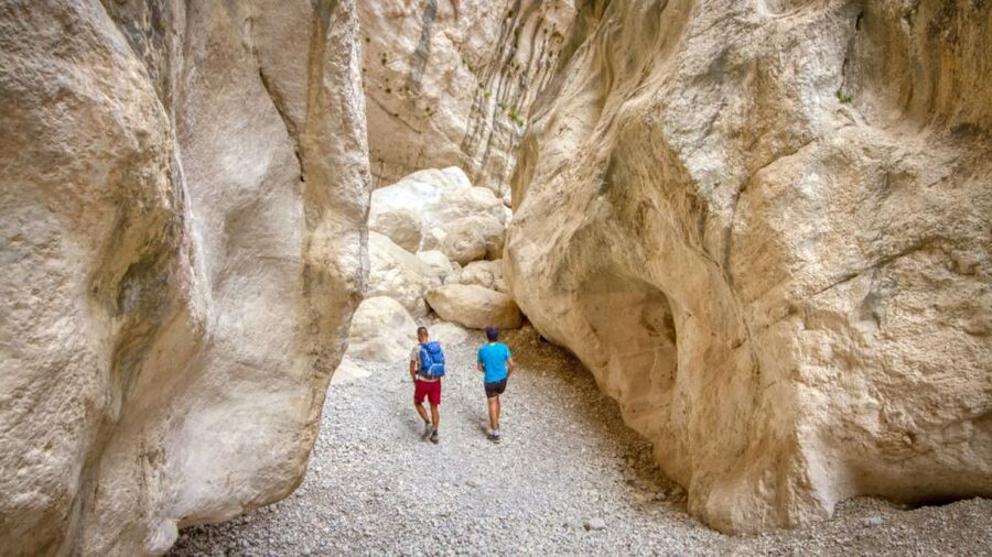 From Orosei or Dorgali: Gorropu Canyon Guided Hike - Price and value: is $77 fair for this day?
